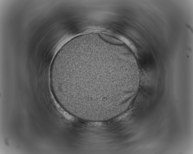 X0000096491431200802211227