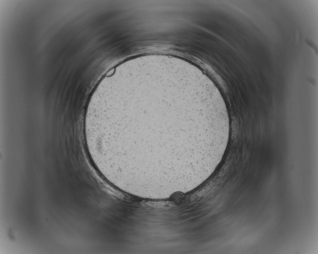 X0000096491432200802211227