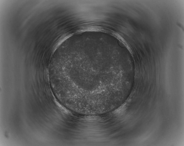 X0000096491433200802211227