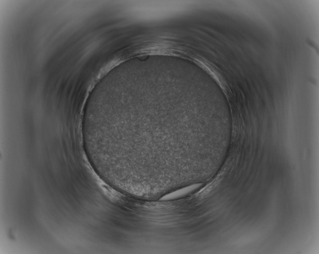 X0000096491434200802211227