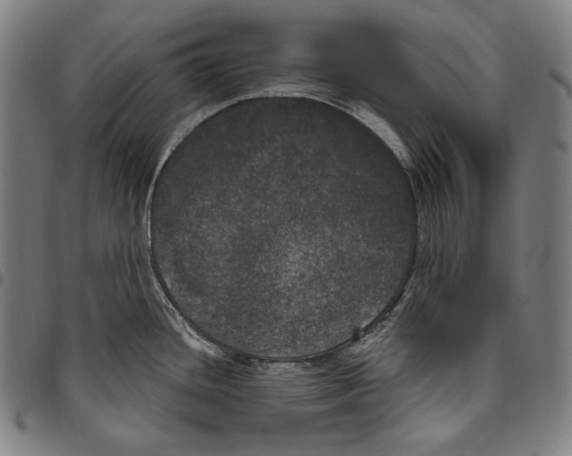 X0000096491436200802211227