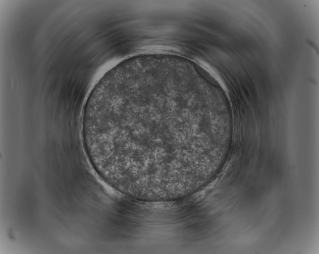 X0000096491437200802211227