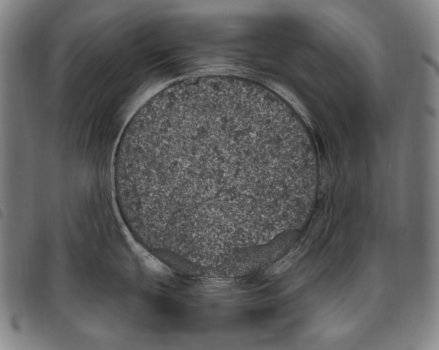 X0000096491439200802211227