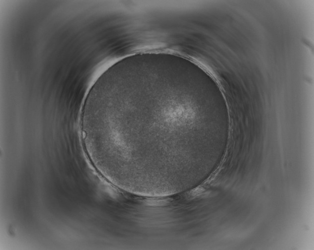 X0000096491440200802211227