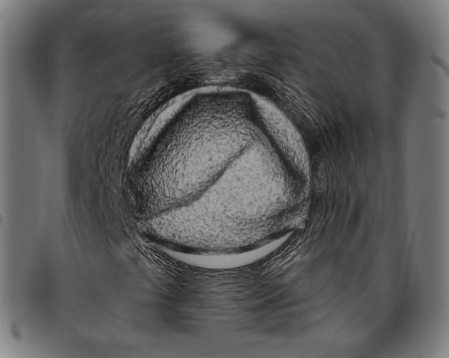 X0000096491441200802211226