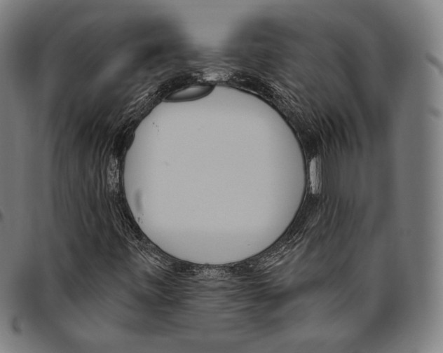 X0000096491443200802211226