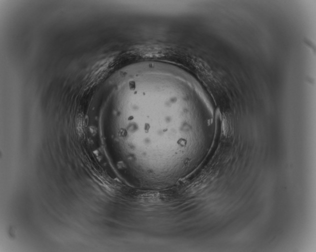 X0000096491444200802211226