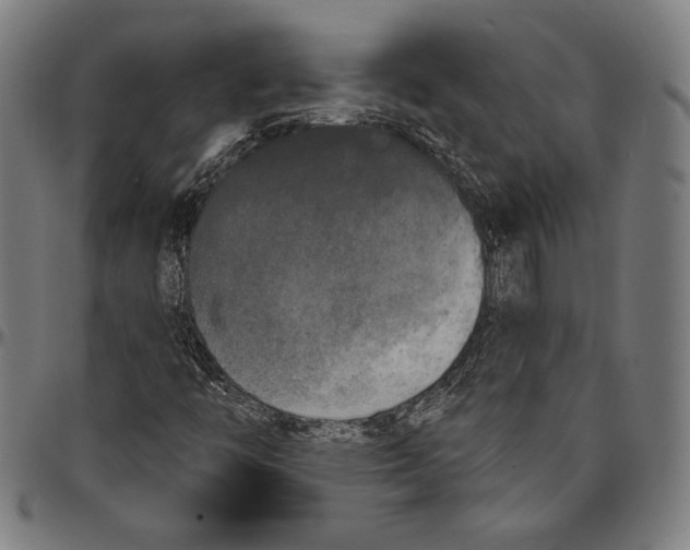 X0000096491446200802211226