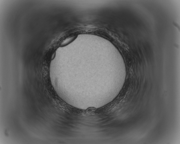 X0000096491447200802211226