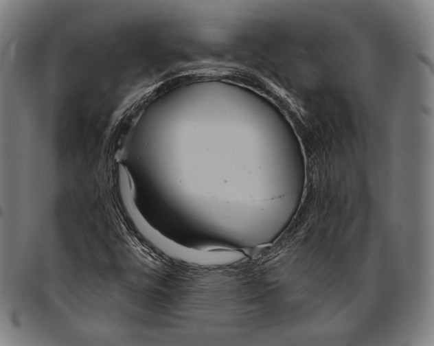 X0000096491448200802211226