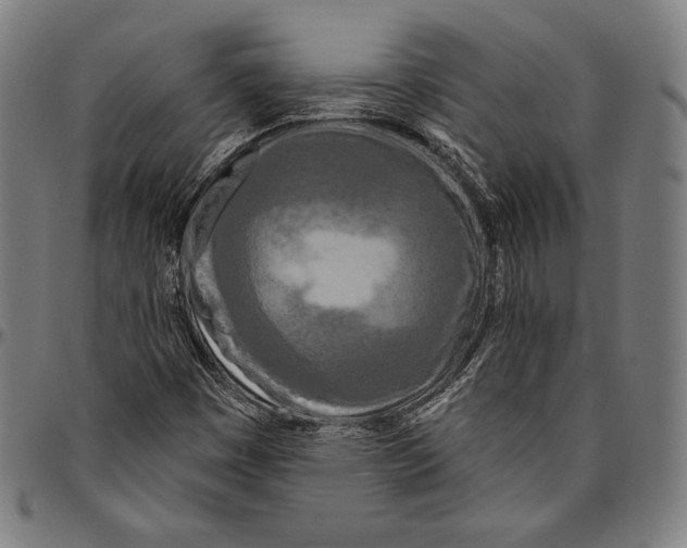 X0000096491449200802211226