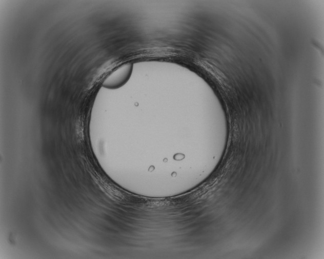 X0000096491451200802211226