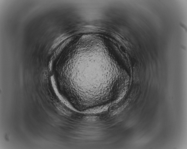 X0000096491453200802211226