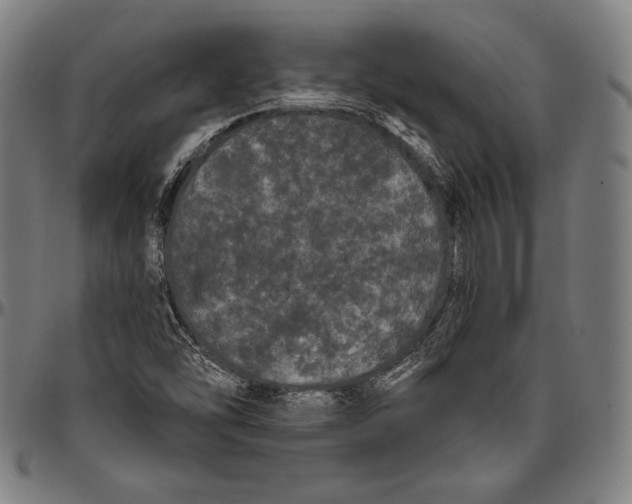 X0000096491454200802211226