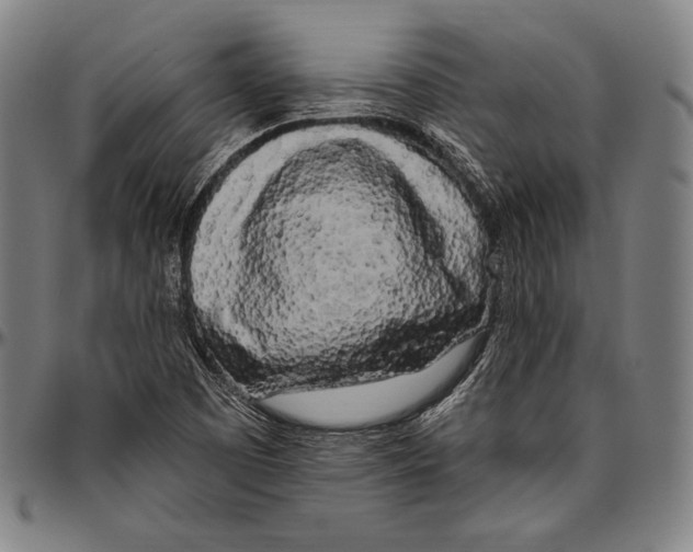 X0000096491457200802211226