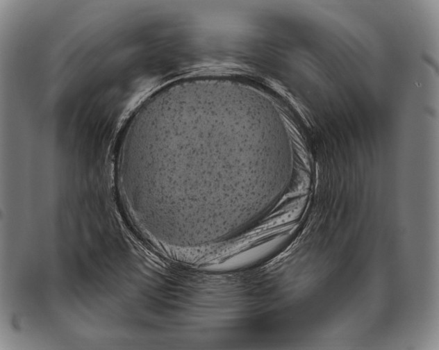 X0000096491459200802211226