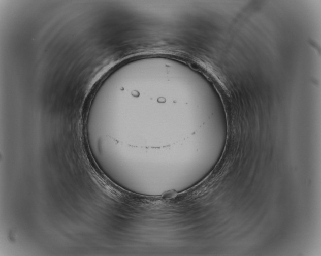 X0000096491460200802211226