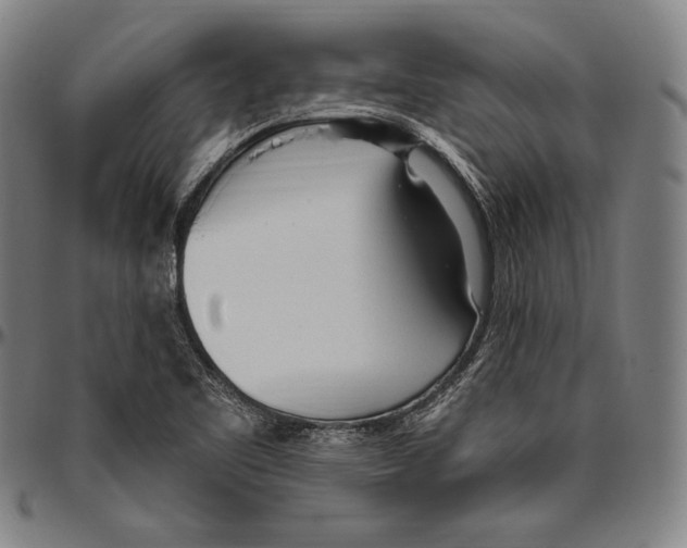 X0000096491461200802211226