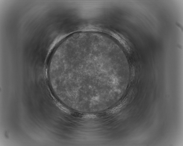 X0000096491462200802211226