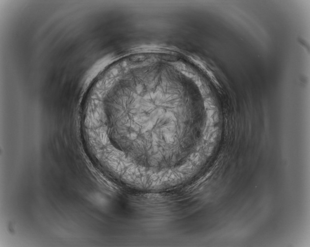 X0000096491463200802211226