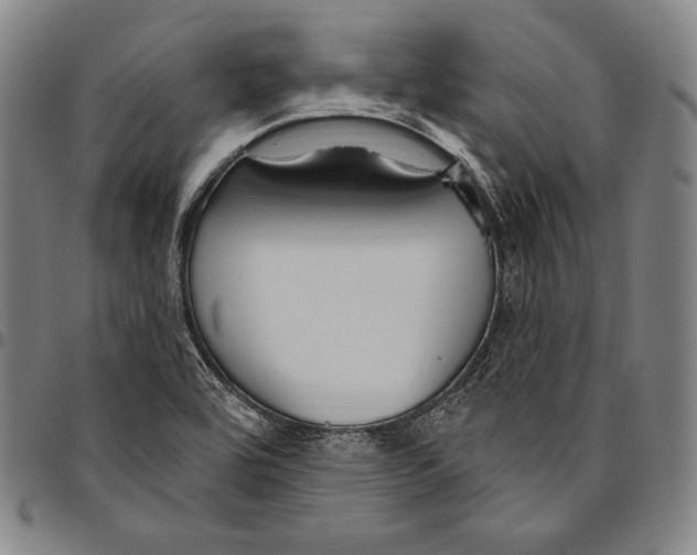 X0000096491464200802211226