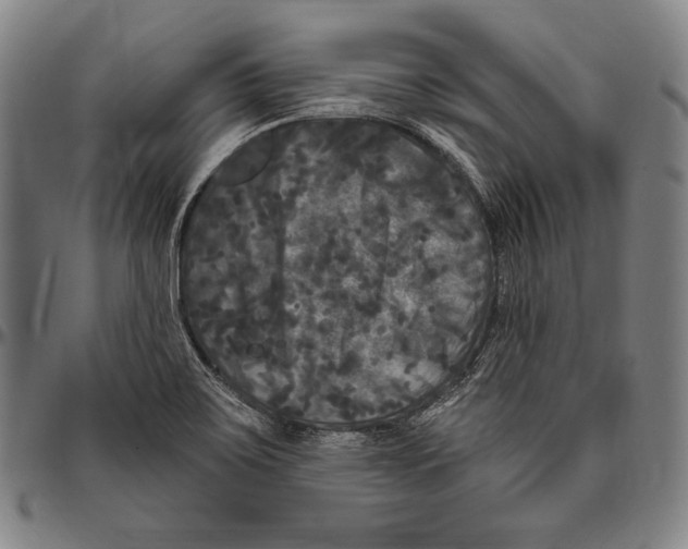 X0000096491467200802211226