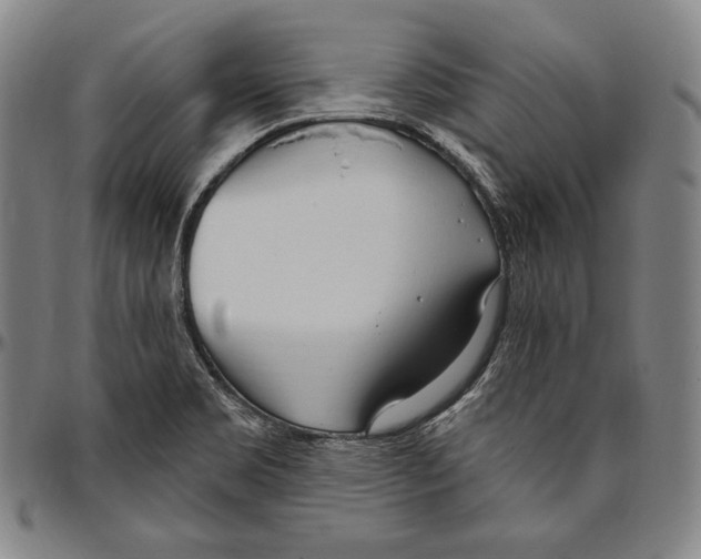 X0000096491469200802211226