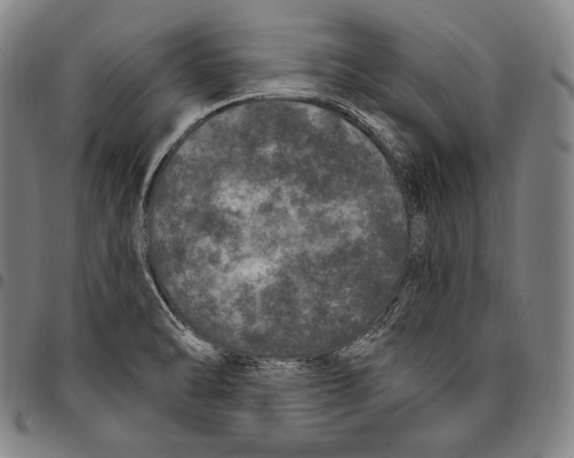 X0000096491470200802211226