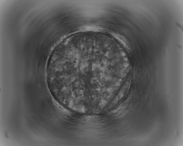 X0000096491471200802211226