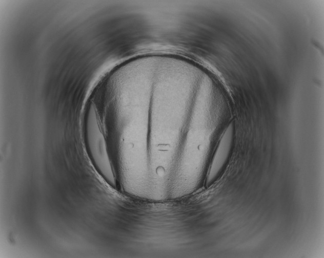 X0000096491472200802211226