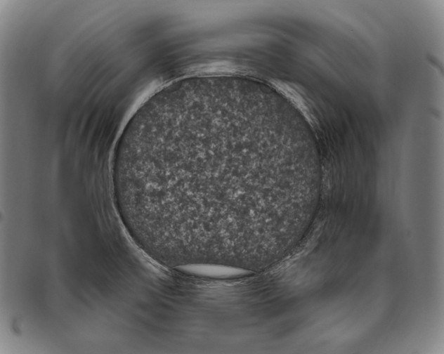 X0000096491475200802211226