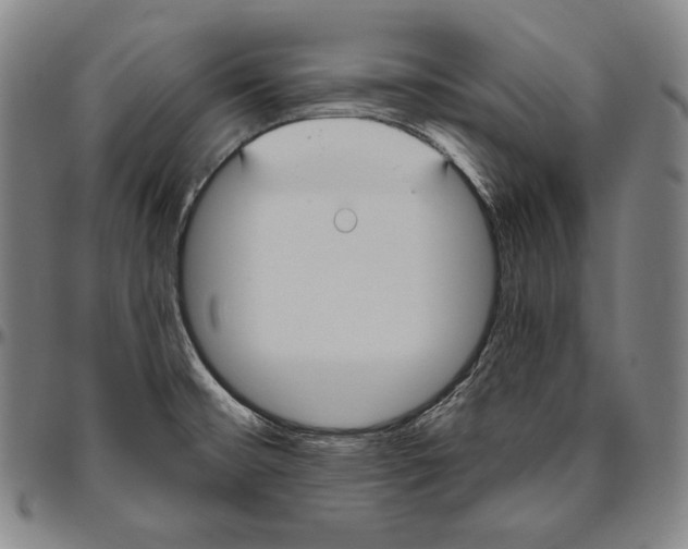 X0000096491476200802211226