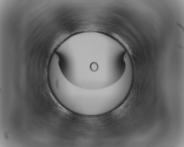 X0000096491477200802211226