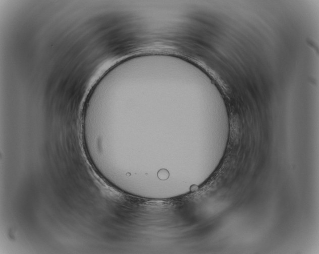 X0000096491478200802211226