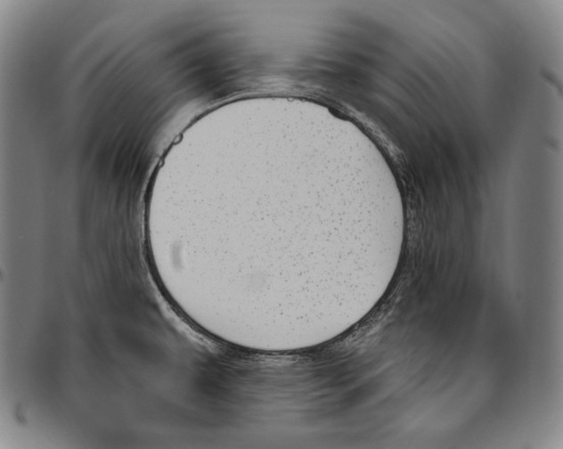 X0000096491479200802211226