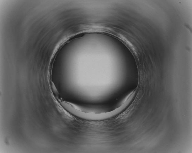 X0000096491480200802211226