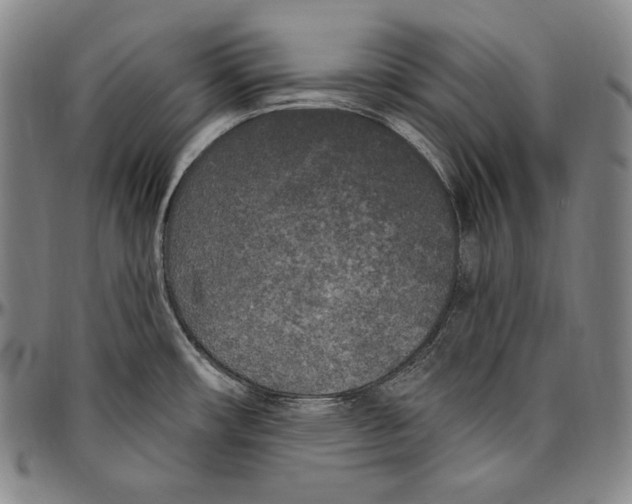 X0000096491482200802211226