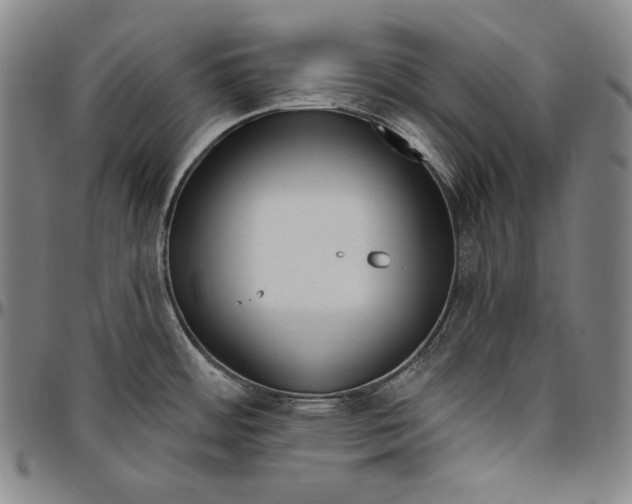 X0000096491484200802211226