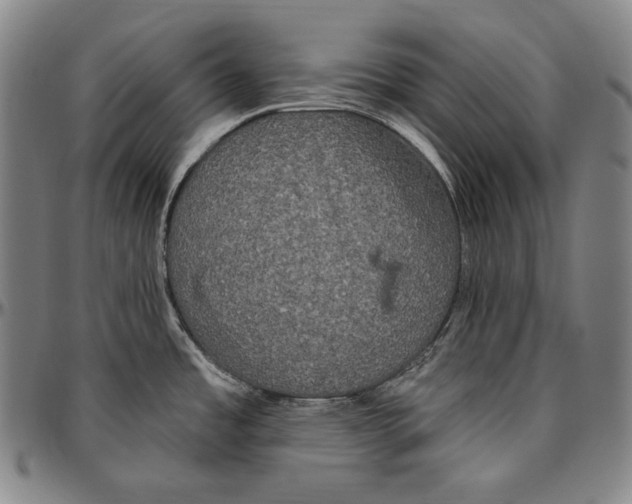 X0000096491485200802211226