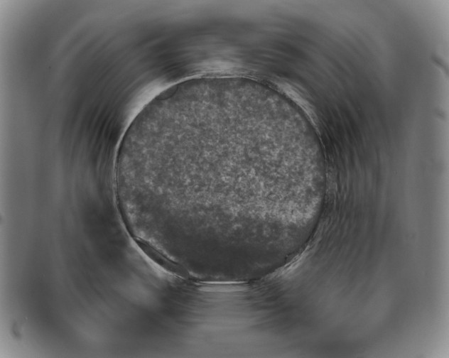 X0000096491487200802211226