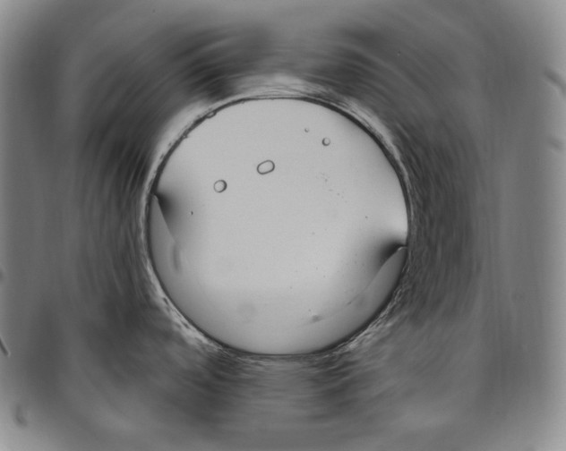 X0000096491488200802211226