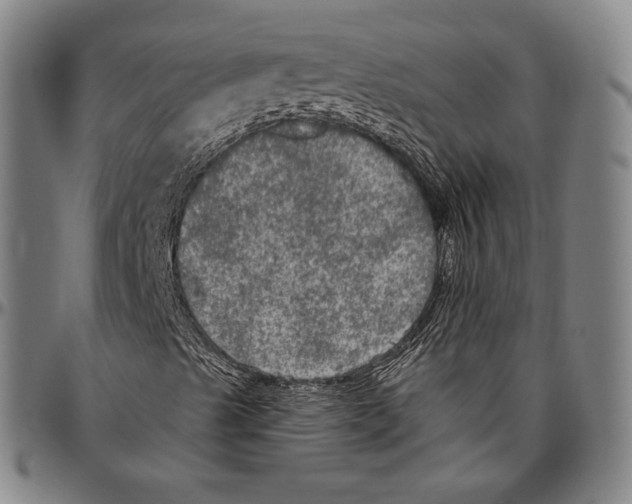 X0000096491489200802211225