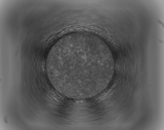 X0000096491490200802211225