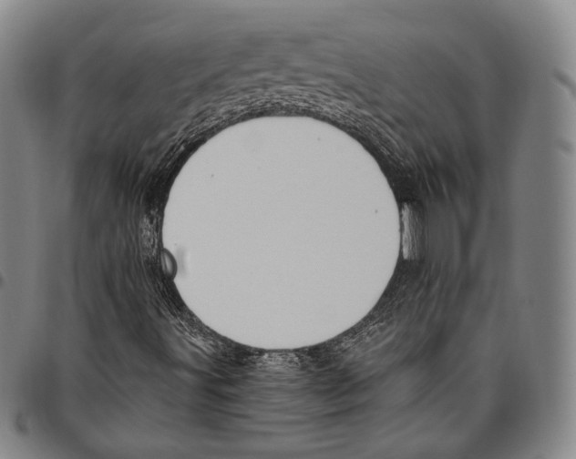 X0000096491491200802211225