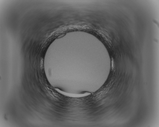 X0000096491492200802211225