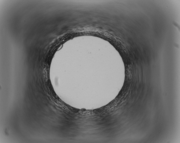 X0000096491493200802211225