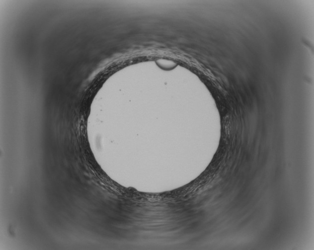 X0000096491495200802211225