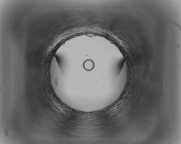 X0000096491496200802211225