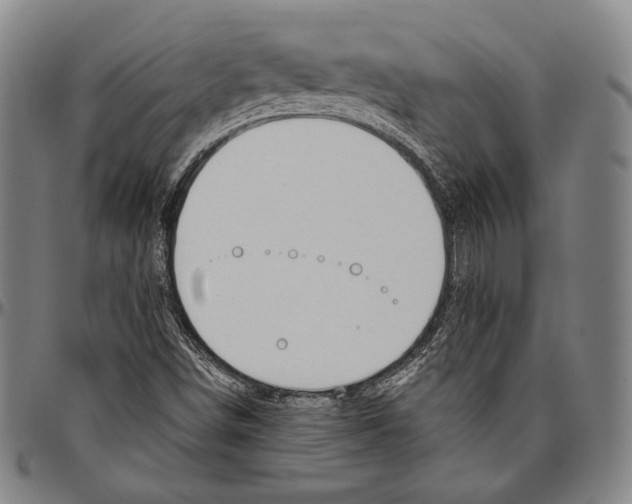 X0000096491498200802211225