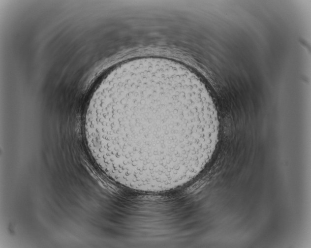 X0000096491499200802211225